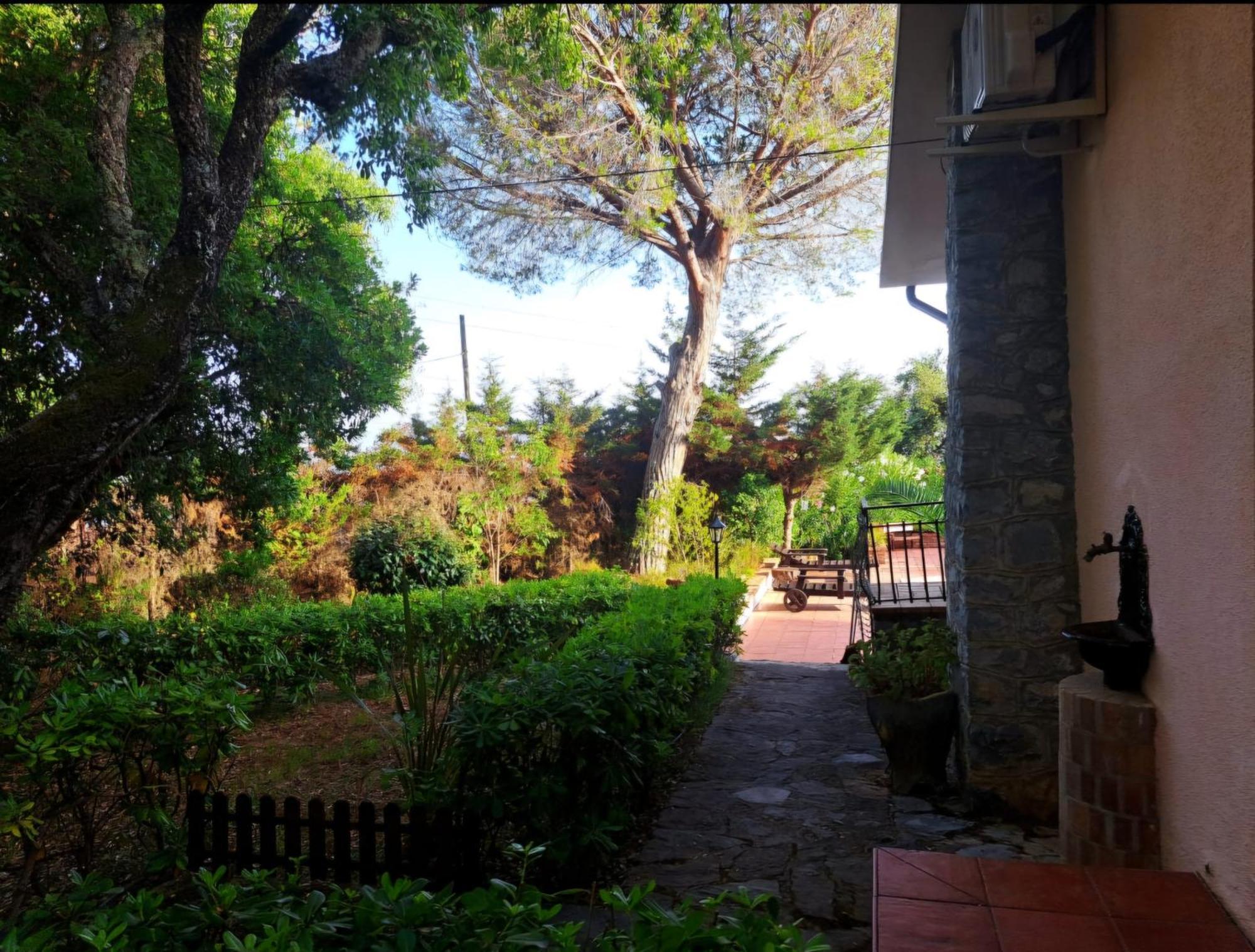 Villa Angela กาปิเตลโล ภายนอก รูปภาพ
